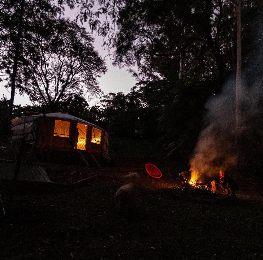 Hotel Purling Brook Falls Gwongorella Springbrook Exterior foto