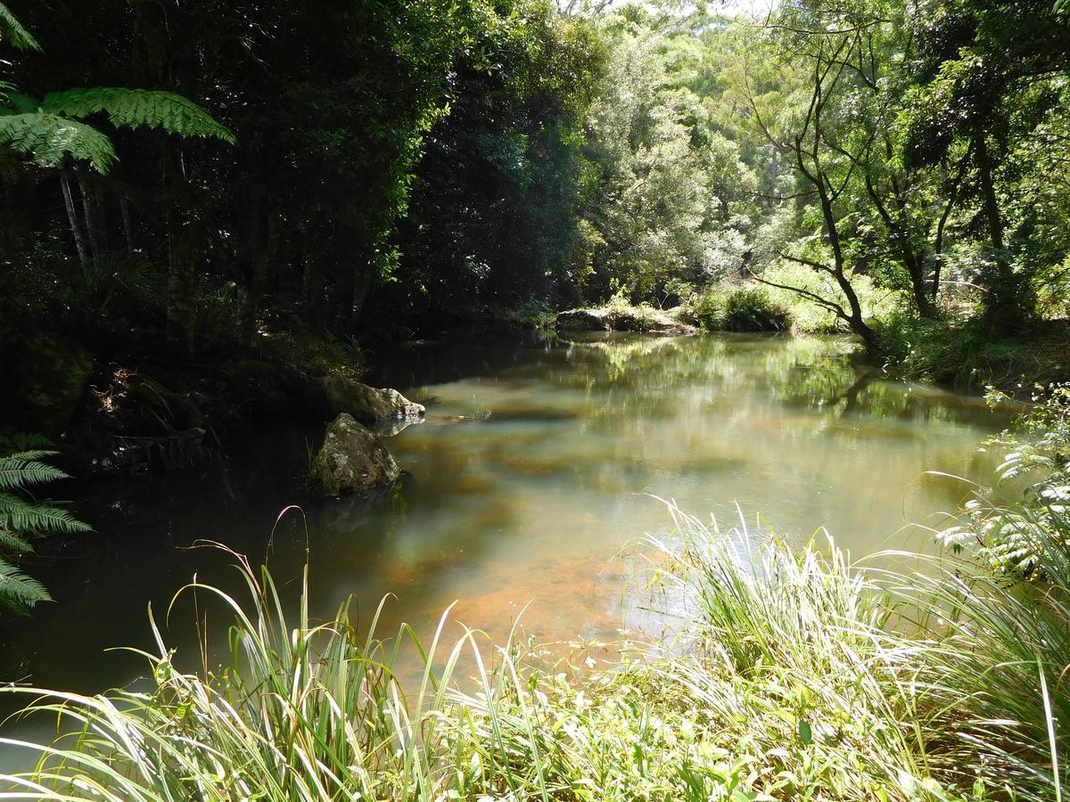 Hotel Purling Brook Falls Gwongorella Springbrook Exterior foto